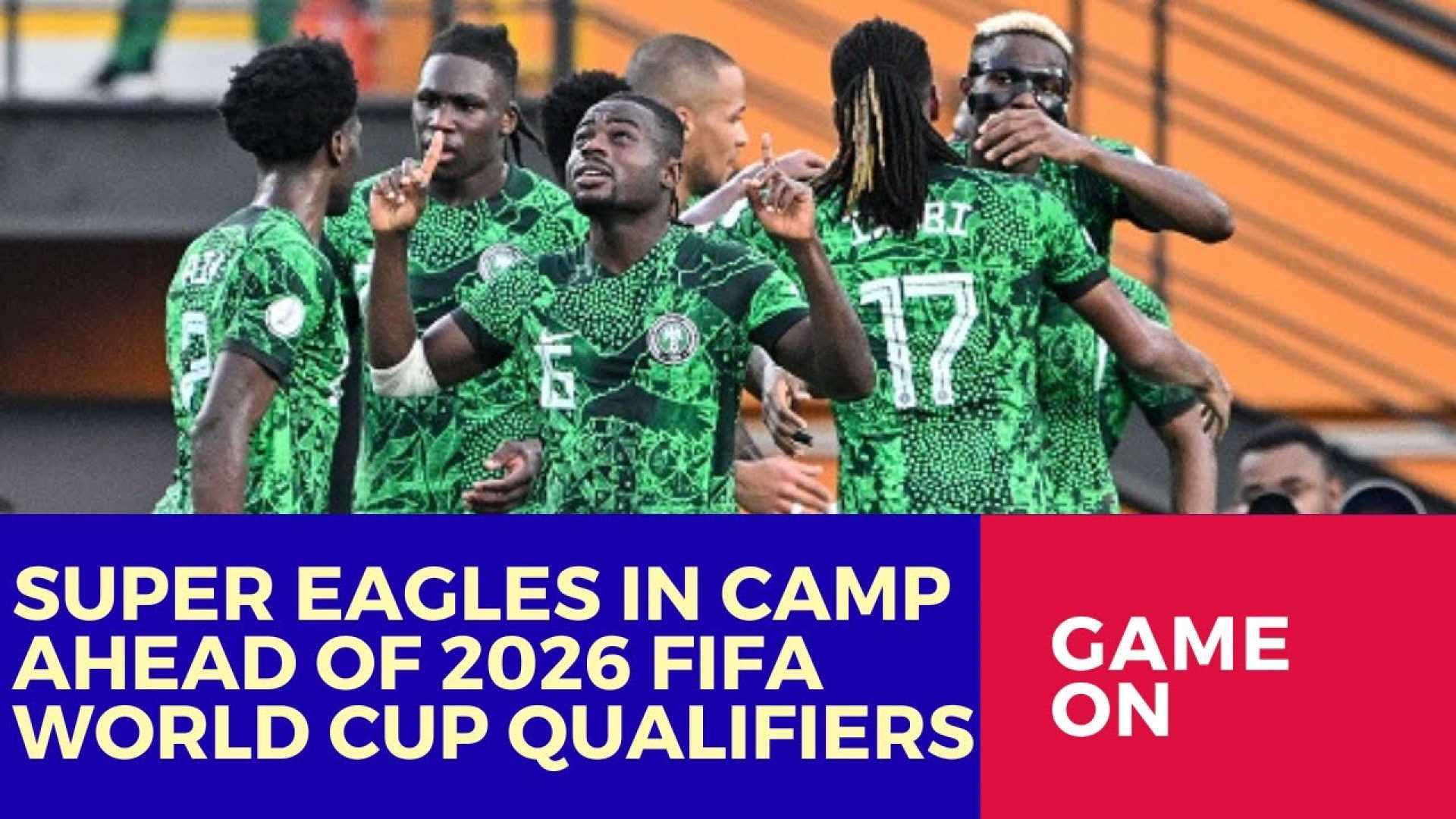 Nigeria Super Eagles World Cup Qualifier