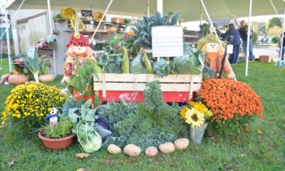 North Fork Country Fair Events