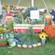 North Fork Country Fair Events