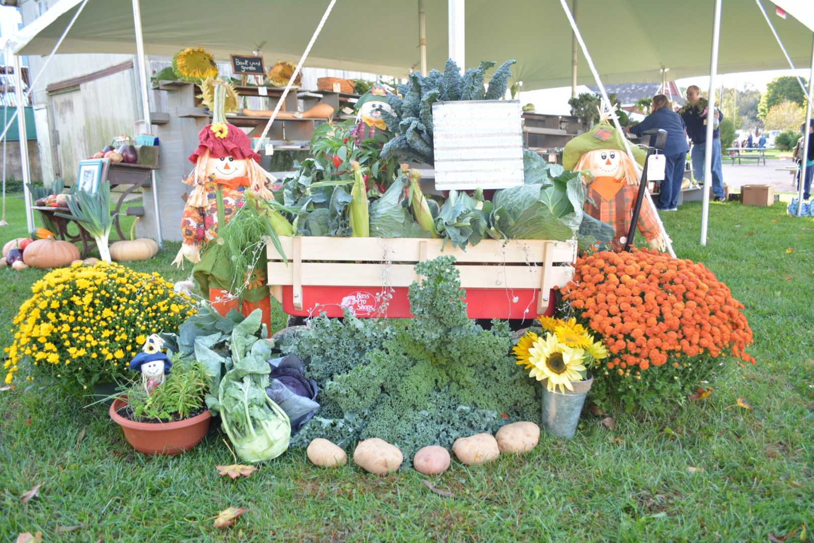 North Fork Country Fair Events