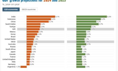 Oecd Report Global Economy 2025