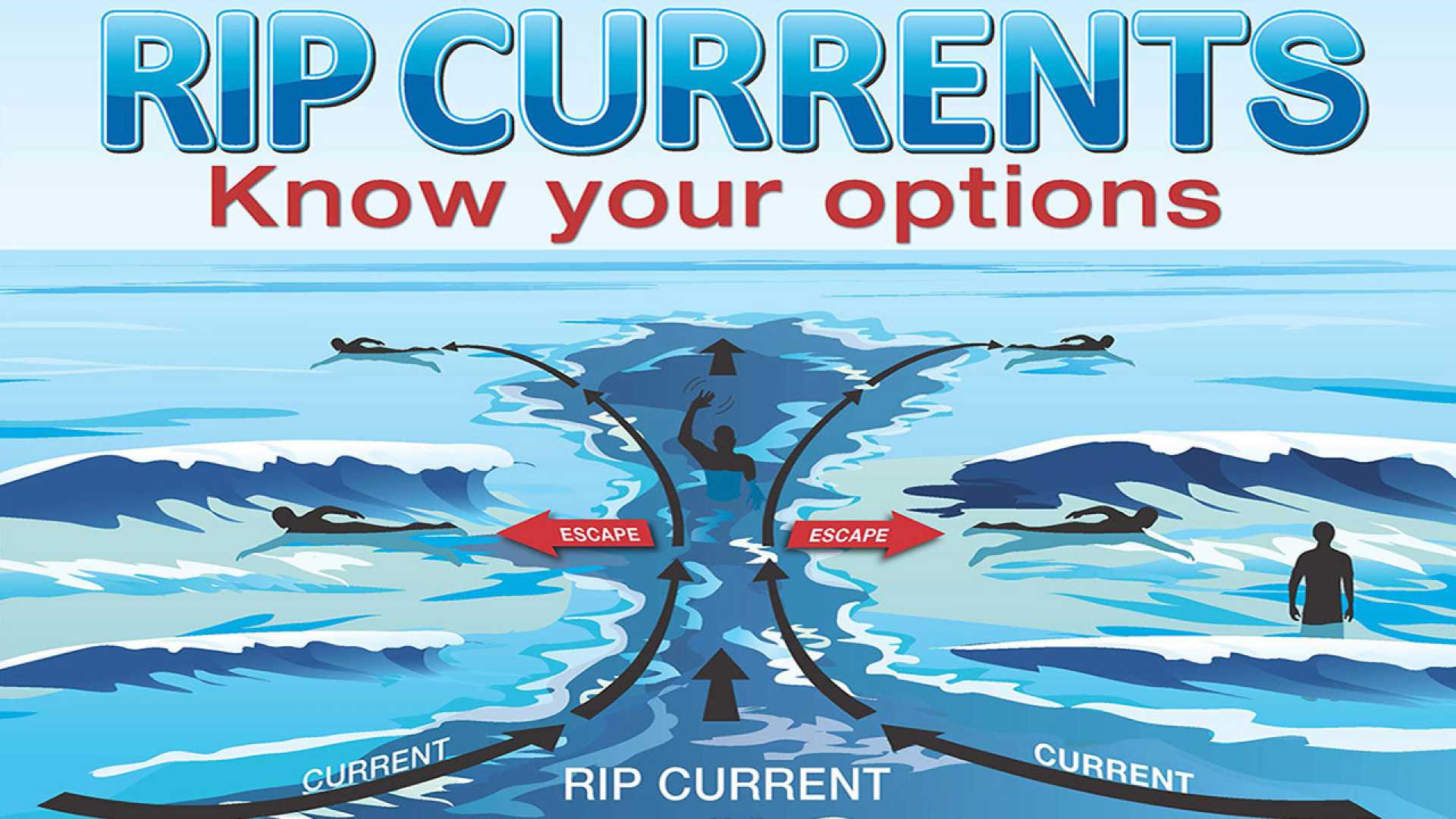 Rip Currents Ocean Beach Safety