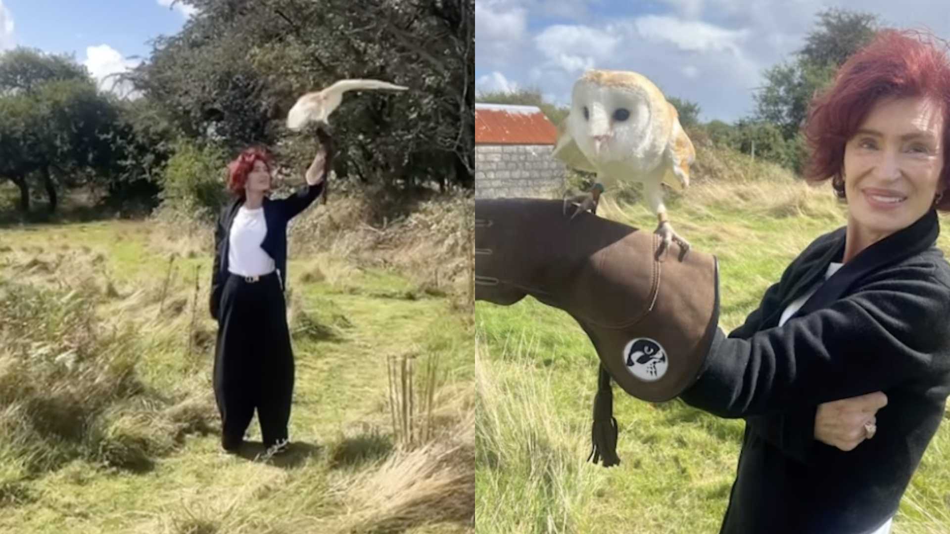 Sharon Osbourne Instagram Post Falconry