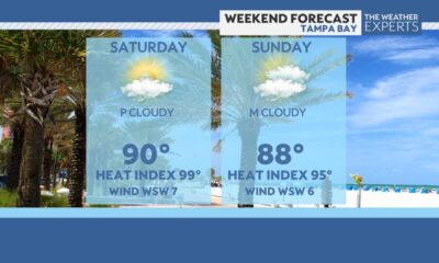 Tampa Bay Weekend Events And Weather