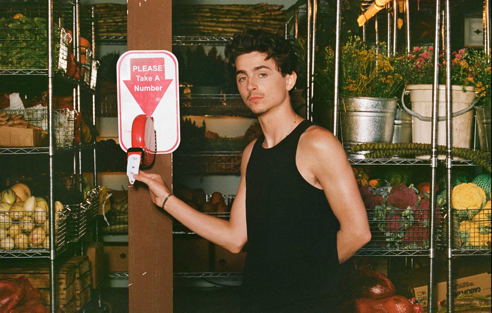 Timothée Chalamet Cash App Commercial