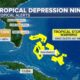 Tropical Depression Nine Flooding Southeast Us