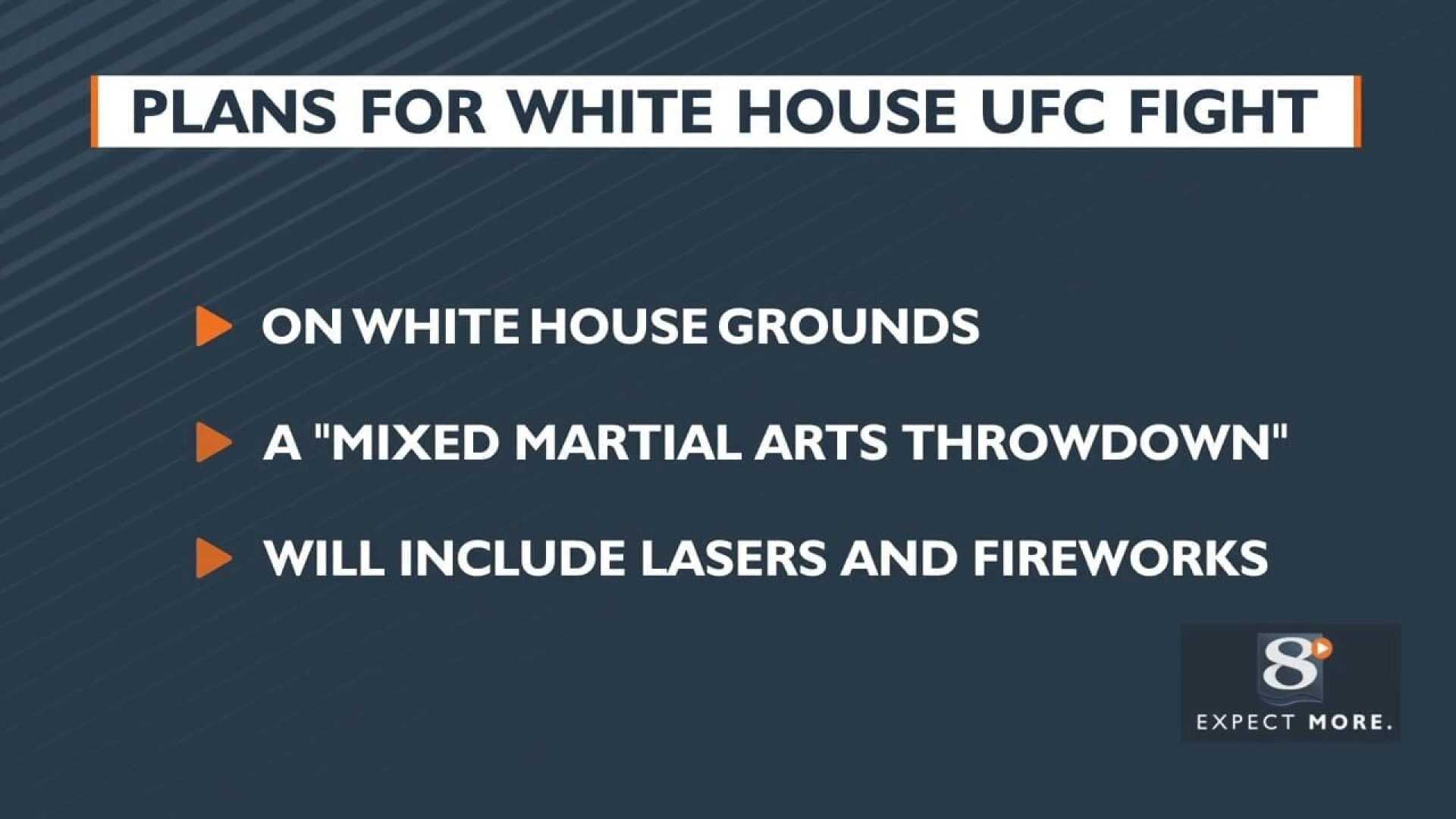 Ufc Fight White House Plan