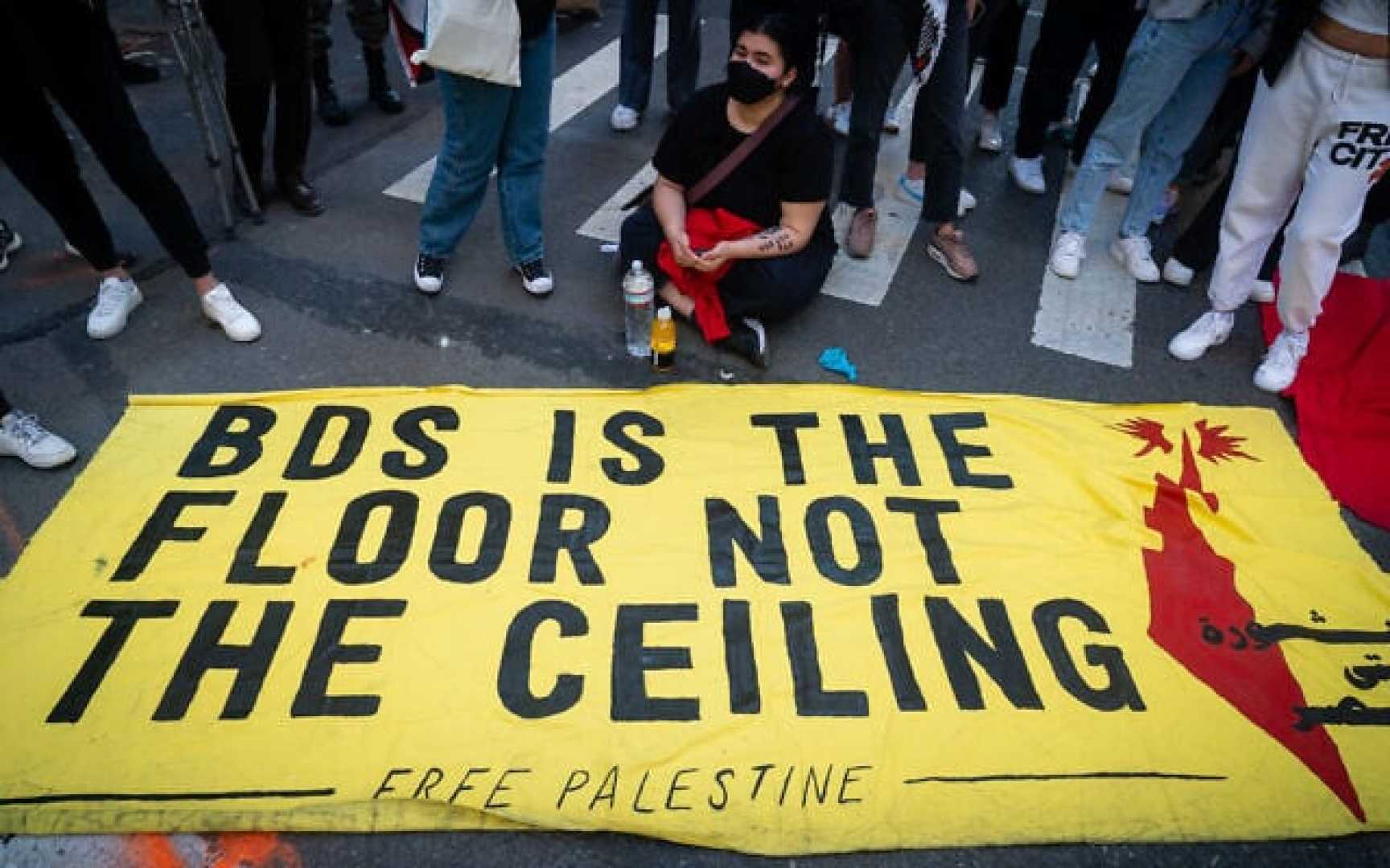 Umass Amherst Campus Conference Anti Israel Bds