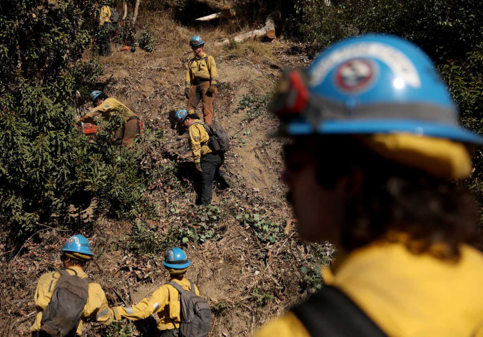 Washington State Wildfire Immigration Raid