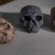 Yunxian Skull Reconstruction Ancient Human