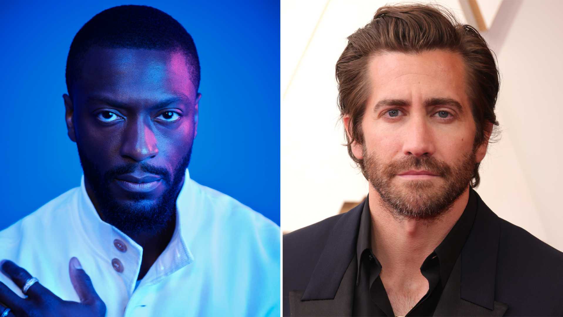 Aldis Hodge Road House Sequel