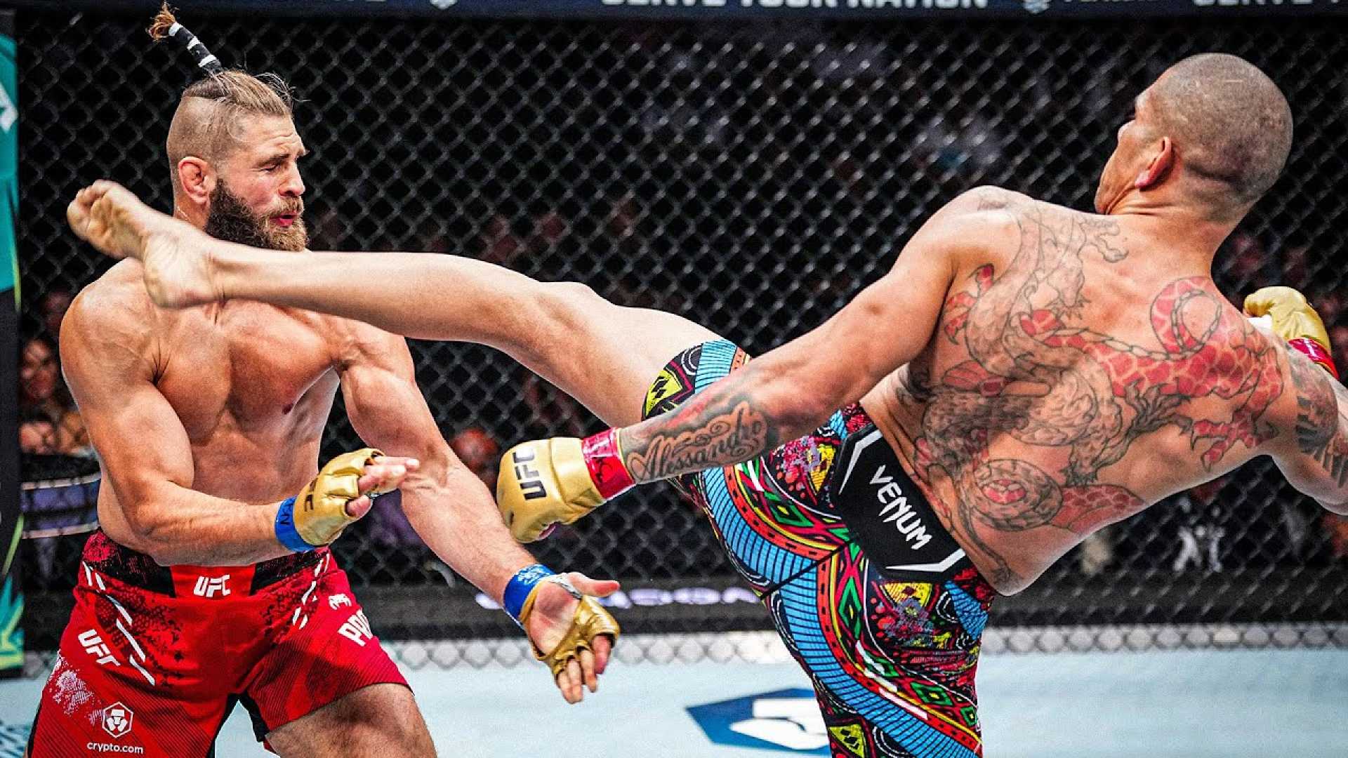 Alex Pereira Ufc Fight