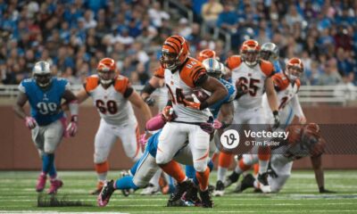 Bengals Tight End Playing Against Lions
