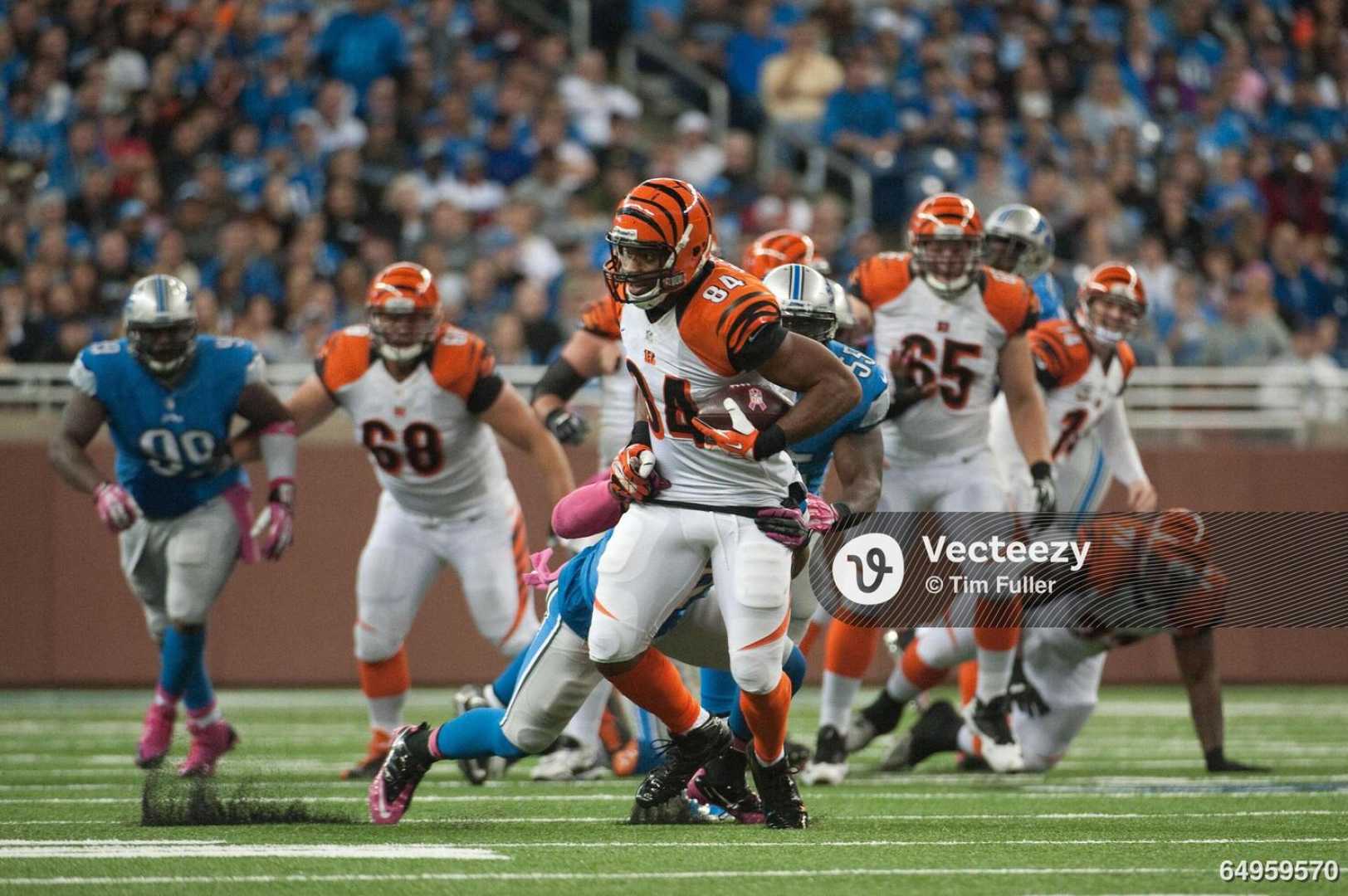 Bengals Tight End Playing Against Lions