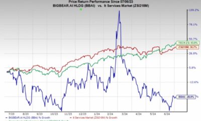 Bigbear.ai Software Solutions Market