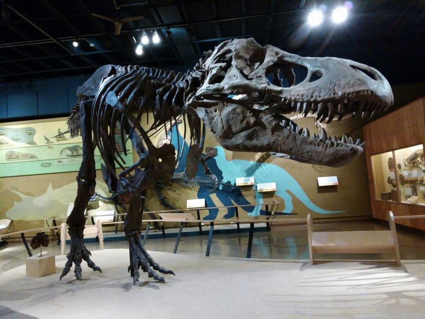 Cleveland Museum Of Natural History Free Admission