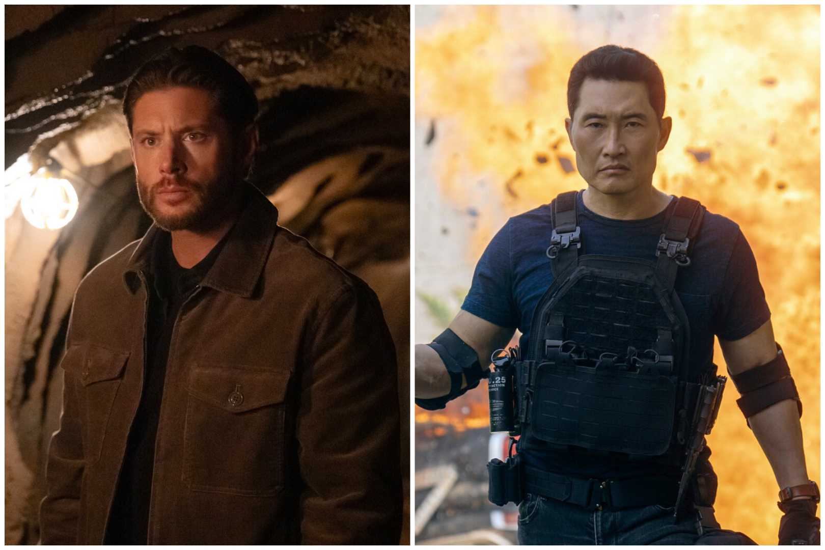 Countdown And Butterfly Series Cancellation News