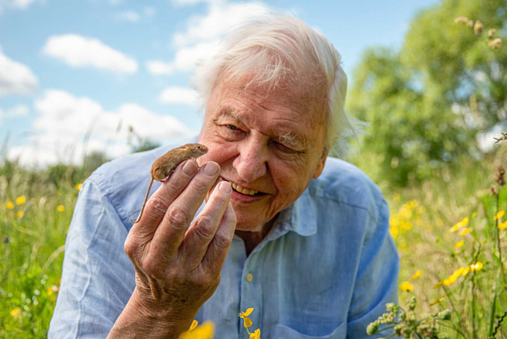 David Attenborough Wildlife London