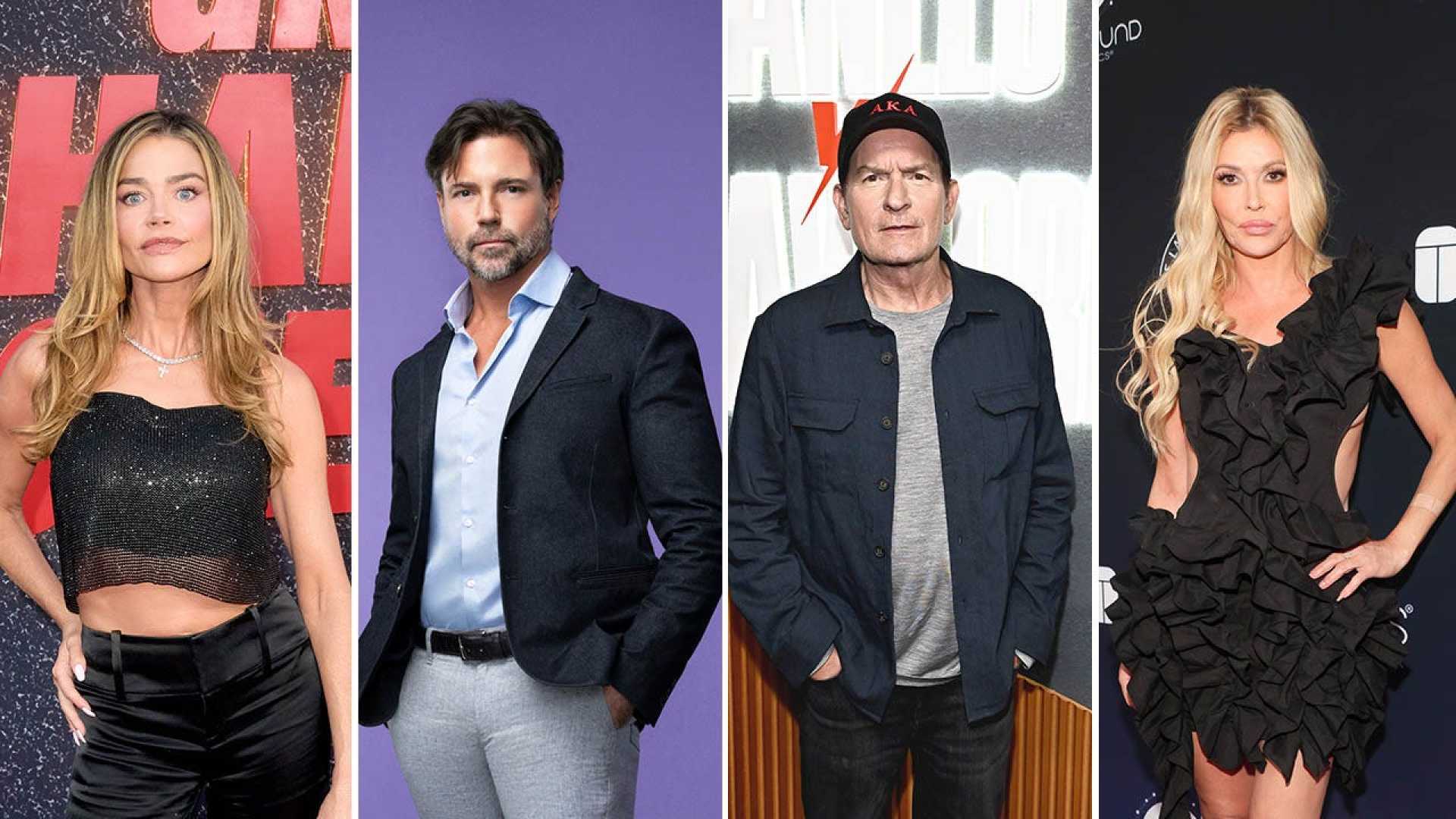 Denise Richards Court Testimony