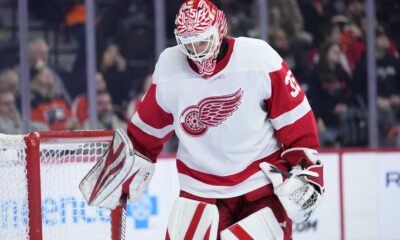 Detroit Red Wings Roster Battles