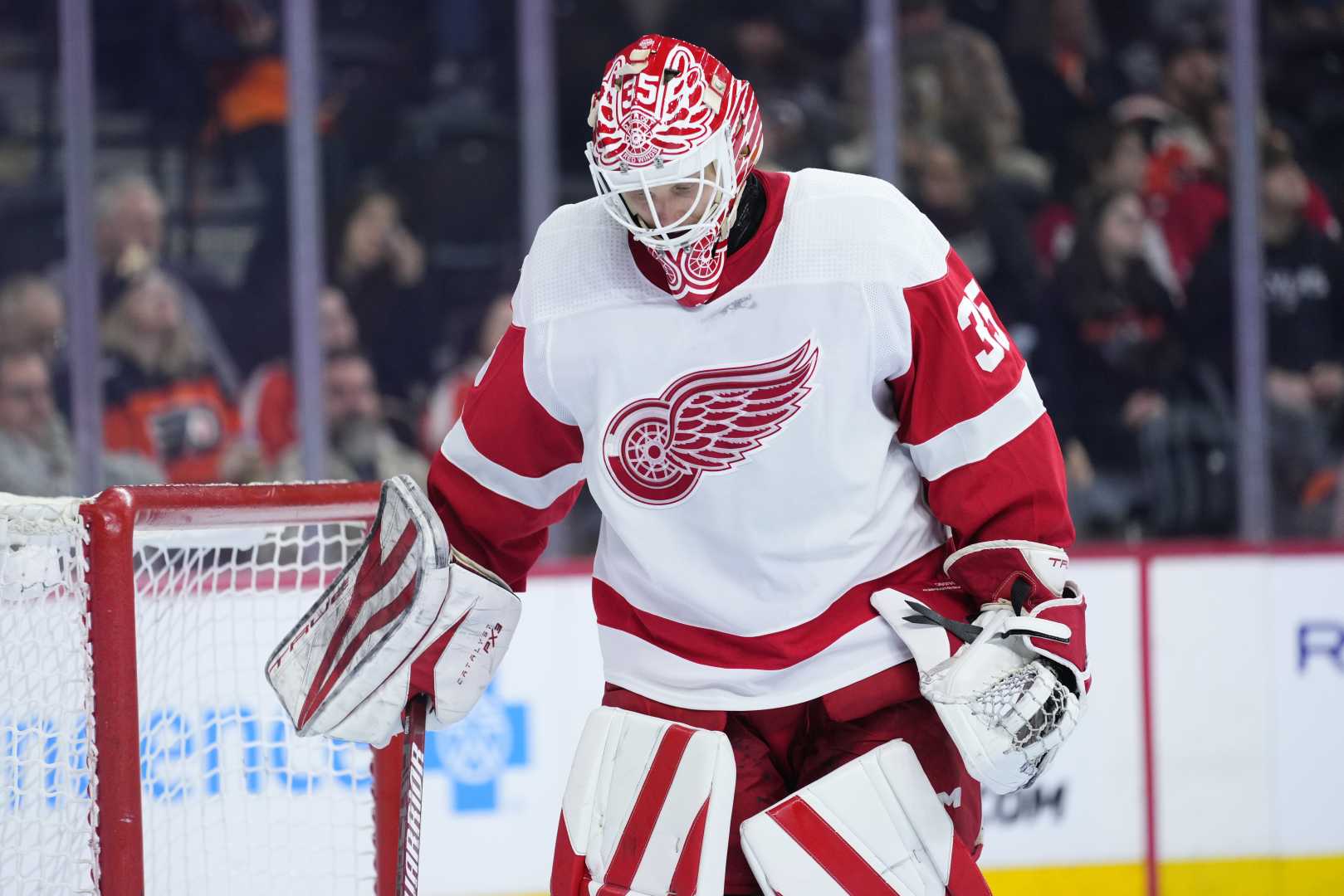 Detroit Red Wings Roster Battles
