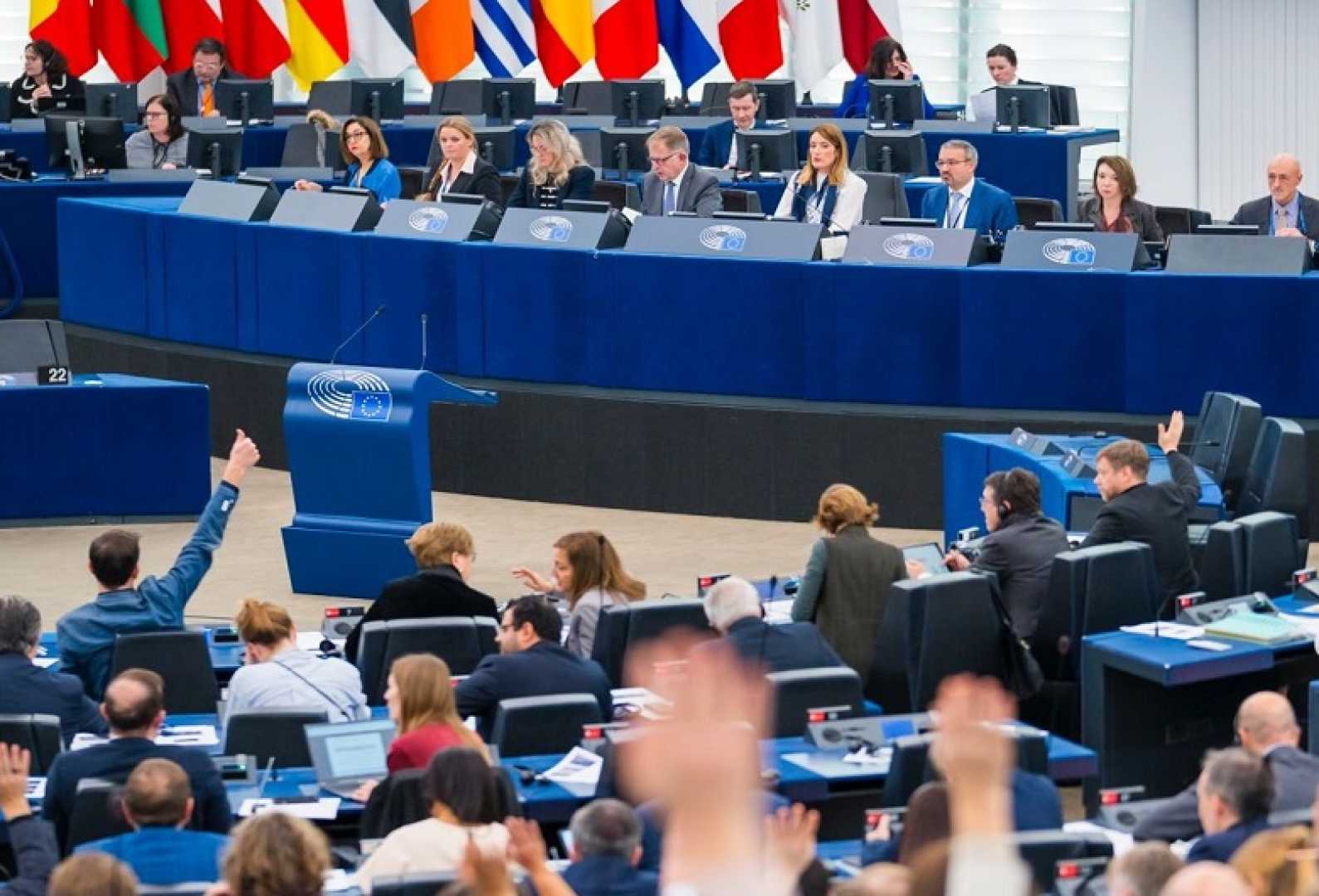 European Parliament Politics Strategy Decision