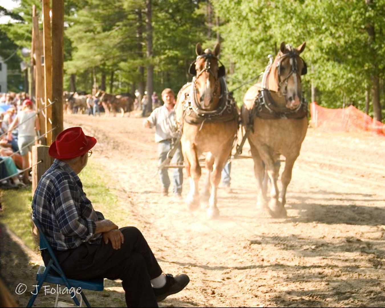 Fall Activities Massachusetts October 2023