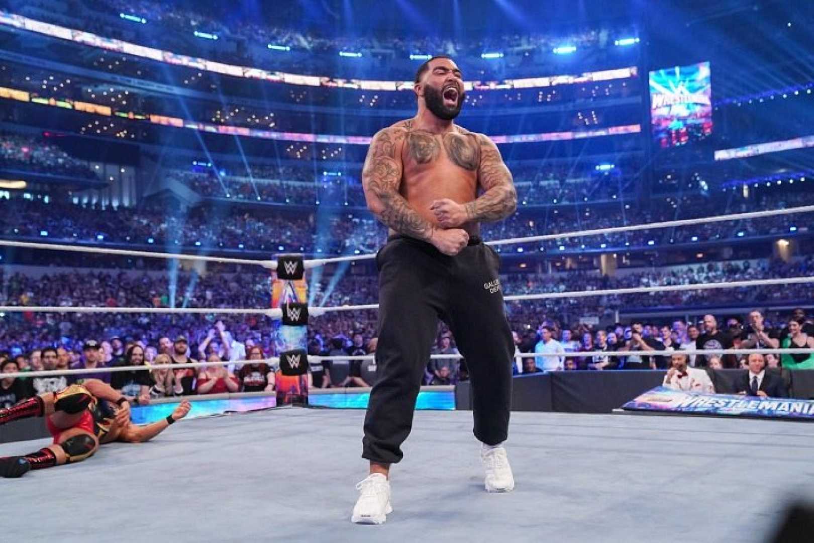 Gable Steveson Pro Debut Mma