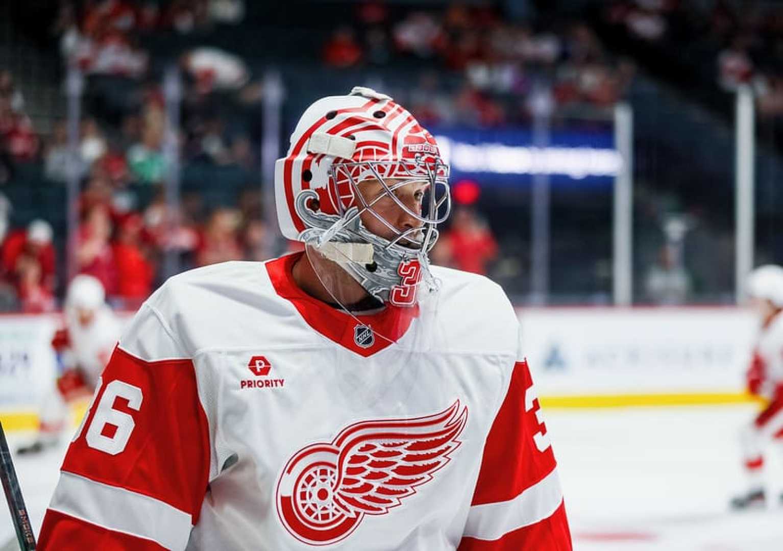 Gibson Red Wings Ducks Game