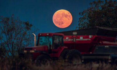 Harvest Moon October 2025