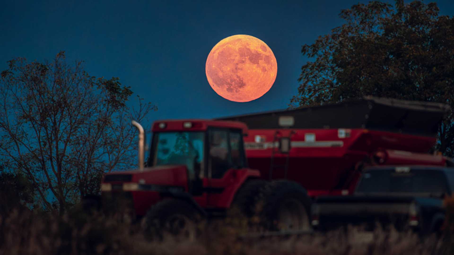 Harvest Moon October 2025