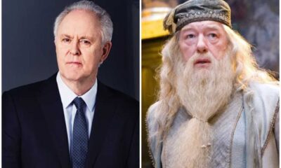 John Lithgow Dumbledore Hbo Harry Potter