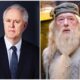 John Lithgow Dumbledore Hbo Harry Potter