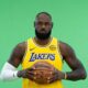 Lebron James Training Camp Injury