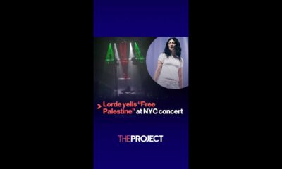 Lorde Concert Free Palestine