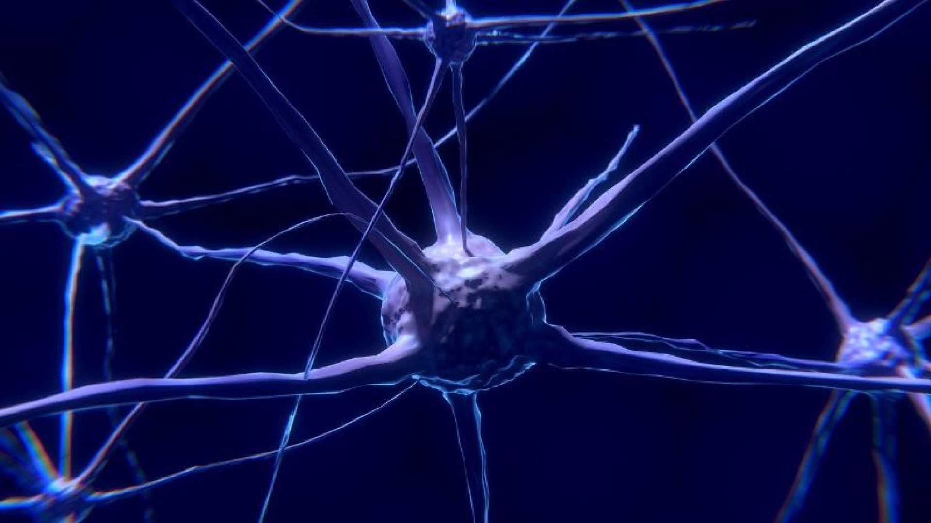 Minerva Neurosciences Roluperidone Schizophrenia