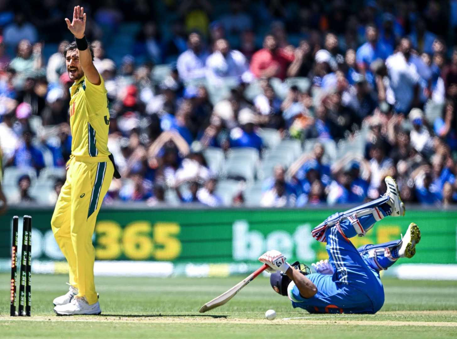 Mitchell Starc Catch India Adelaide Odi