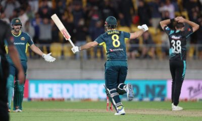 New Zealand Vs Australia T20i Cricket Match