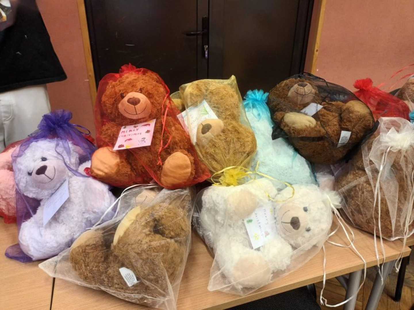 Nina Meyerhof Teddy Bear Charity