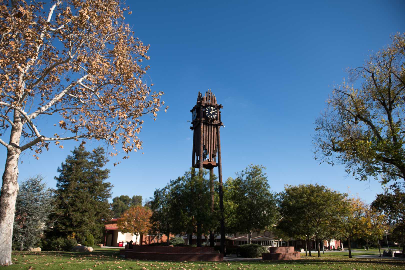 Palomar College Board Anti Racism Policy