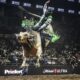 Pbr Bull Riding Event In Stadium
