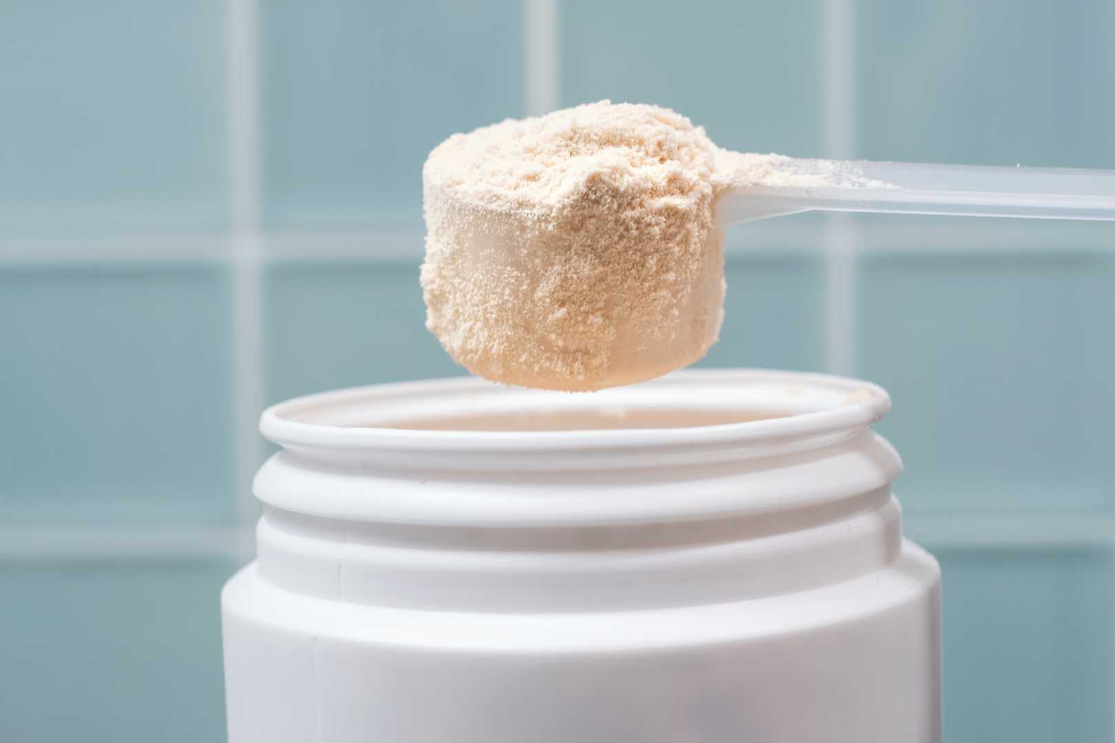 Protein Powders Safety Report Lead Contamination