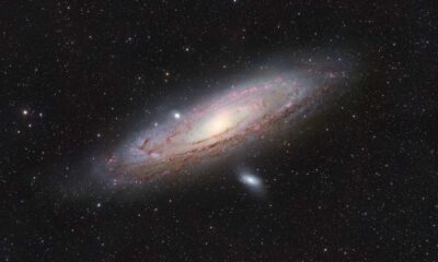 Ronald Brecher Andromeda Galaxy