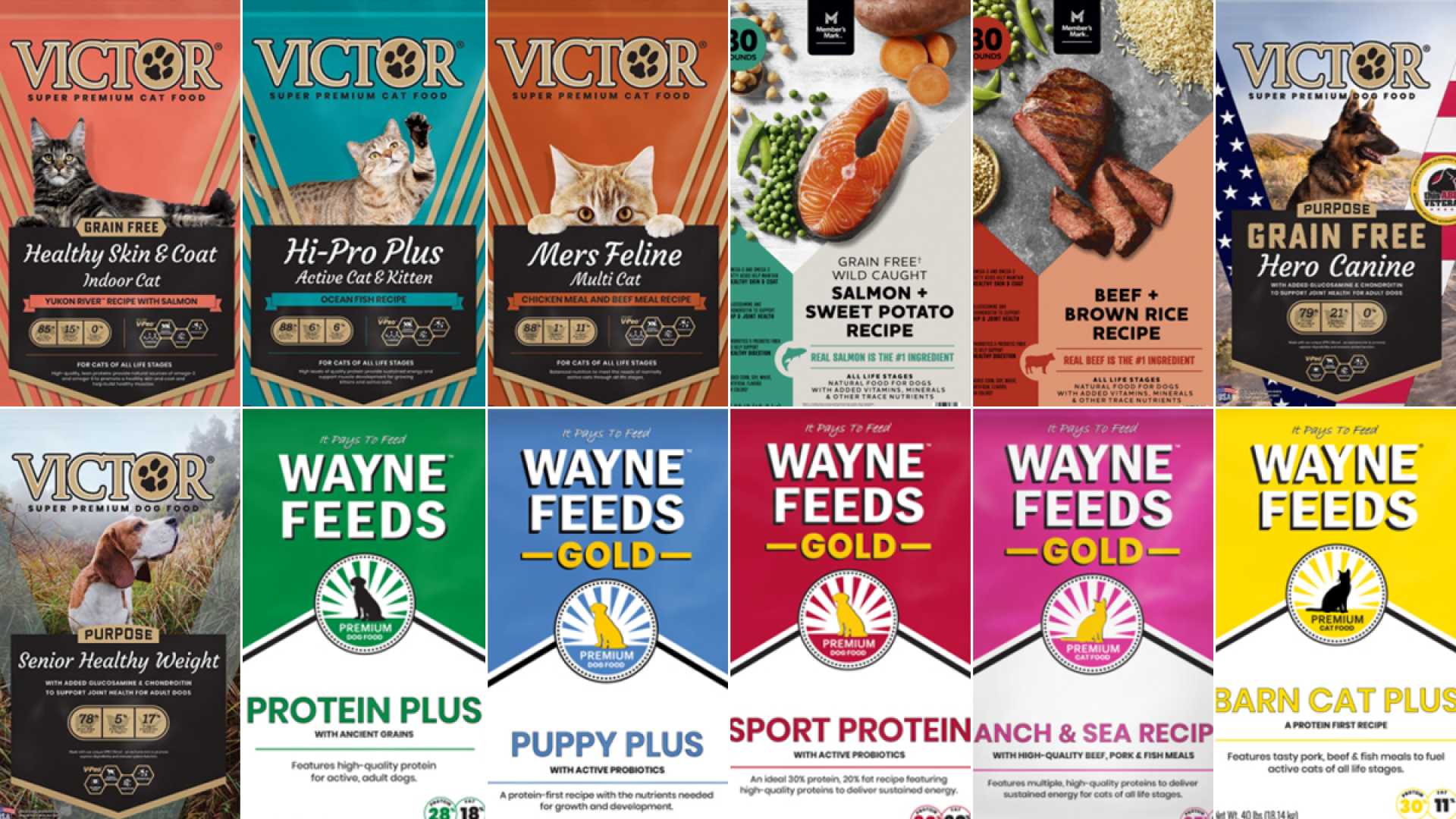 Salmonella Dog Food Recall