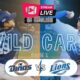 Samsung Lions Park Game Highlights