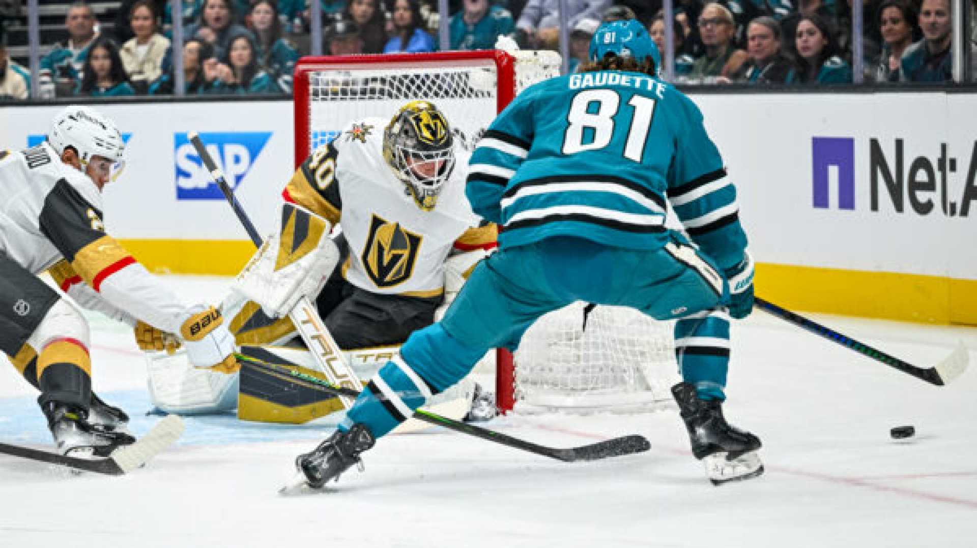 San Jose Sharks Defensemen Injuries Update