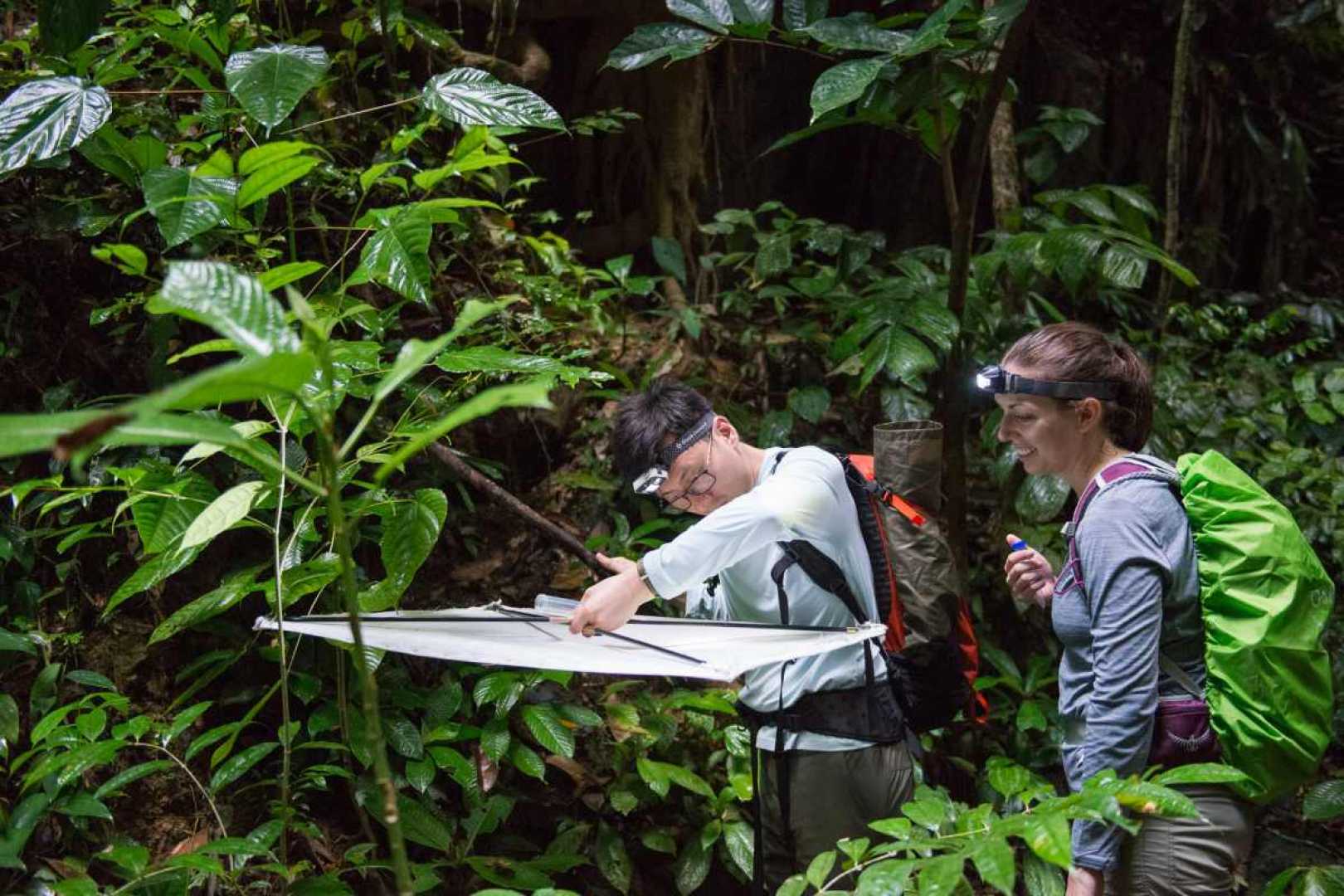 Scientists Rainforest Expedition