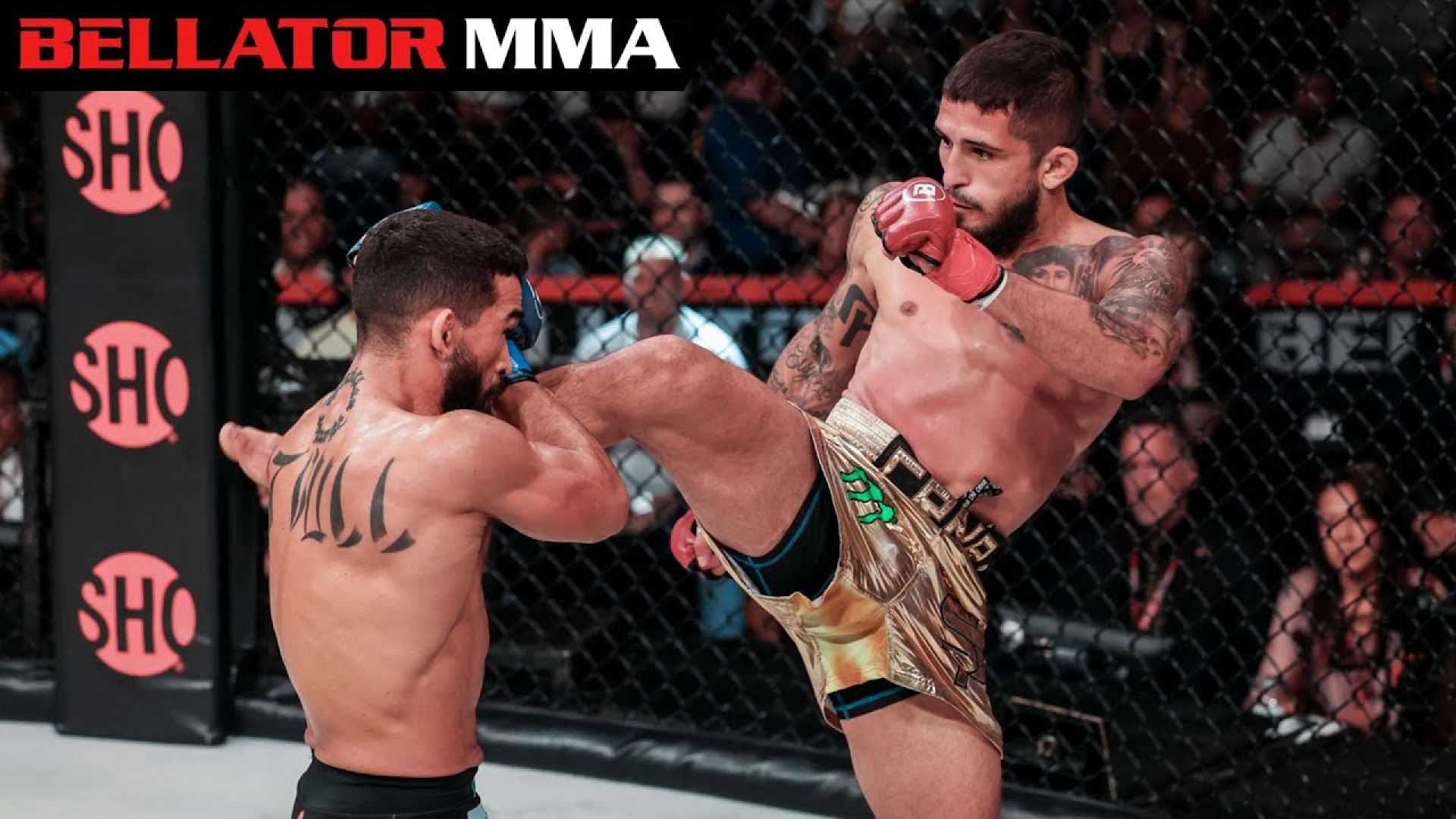 Sergio Pettis Mma Fight