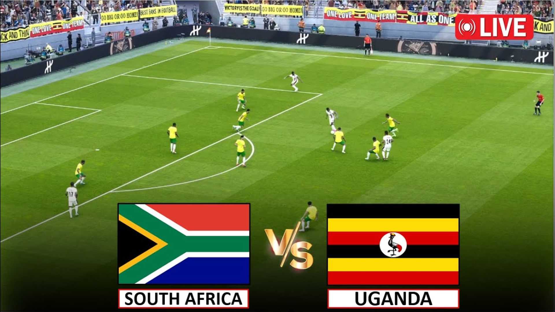 South Africa Soccer Team Matches Live