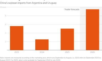 Soybean Trade China Us Argentina